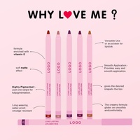 Crayon à lèvres rétractable personnalisé, marque privée, longue tenue, mat, waterproof, crayon à lèvres rose crème longue tenue