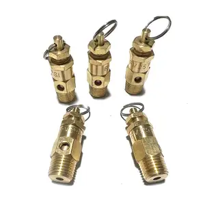 1/4 3/8 ASME Safety Relief Valves Control Devices Psi 25