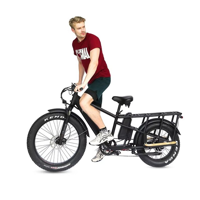 ZODIN Delivery Electric Mountain Bicycle 1000W 48V Motor Fat Tire Electric Bike Family Cargo Ebike for Adult