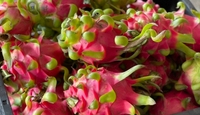 Verse Dragon Fruit Vietnam Ninh Thuan Graad AA Wit Vlees 50 Dagen Houdbaarheid Exportnormen Landbouw Tropisch 100%