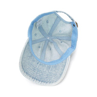 Blank 6-panel baseballpet met aangepaste borduurlogo, katoen, gebogen klep, zonnepet, puffprint, fruitmotief, universeel unisex model