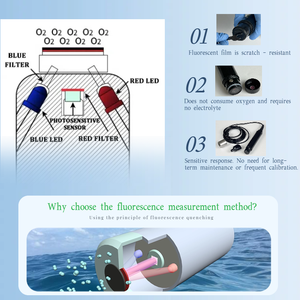 Viskwekerij Fluorescentiemembraan Vissen Zuurstofmeter O2 Sensor Analysator Sensor <span class=keywords><strong>Oxygen</strong></span> Meet Zuurstof - Product Image 4