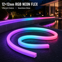 Bande lumineuse LED néon flexible 12x12mm, étanche, en silicone, RGB RGBW, pour l'éclairage architectural des façades de bâtiments et des paysages