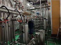 Fruitverwerkingsmachine Industriële Ananassap Productielijn Sapconcentratie Verwerkingslijn Fabrieksmachines