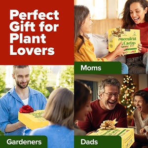 Kit Unico <span class=keywords><strong>per</strong></span> Giardino Interno con Vasi in Ceramica <span class=keywords><strong>per</strong></span> Succulente e Cactus, Terriccio, Vassoi Raccogligocce e Guida al Coltivazione - da Appendere al Pavimento - Product Image 5