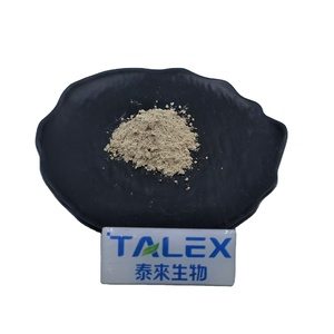 Extrait de Hericium Erinaceus en poudre, polysaccharides 10%-50%, extrait de champignon crinière de lion - Product Image 1