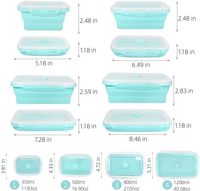Vente chaude Moderne Étanche Cuisine Accessoires BAR Free Silicone Pliable Réutilisable Boîte À Lunch Conteneur Bol De Stockage Ensemble Alimentaire