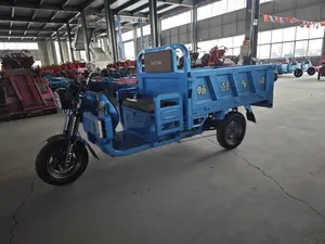 משאית משולשת חשמלית מטען באיכות טובה סין תלת אופן