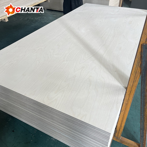 Contrachapado de Abedul de Grado Mueble, 18 mm, Triplay de Abedul, Buena Calidad, Precio Económico, 1220*2440 mm - Product Image 4