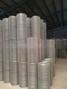 Galvanized Welded Iron Wire <b>Mesh</b> Square Hole <b>Netting</b> Fence Panels 0.6 mm to 2 mm for Farm Enclosure - Product Image 5