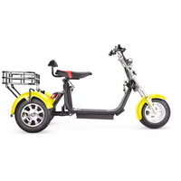 Triciclo Eléctrico de 3 Ruedas de Calidad Excepcional 2026 para Adultos, Bicicleta de Tres Ruedas, Trike Citycoco