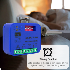 433-900MHz tuya wifi hoặc RF kiểm soát chuyển đổi AC/DC 9-30V 2CH nhà để xe thông minh Nhà Receiver cho cuộc sống thông minh Alexa Google nhà - Product Image 4