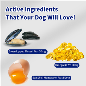 개를위한 OEM 엉덩이 및 관절 보충 개 종합 비타민 씹기 취급 개를위한 엉덩이 및 관절 보충 교재 개인 상표 비타민 - Product Image 5