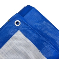 Bâche en polyéthylène HDPE, bâche 130GSM, couleur bleue, couverture de camion, imperméable, bonne qualité, exportation vers l'Afrique