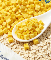 Groothandel Bulkverpakking Gedroogde Mango Blokjes, Knapperige Gedroogde Mango Kubussen, Natuurlijk Gedroogd Fruit voor Bakken en Ontbijtgranen