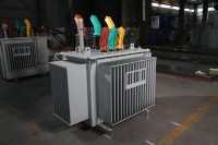 Transformador de Potência Trifásico Imerso em Óleo Wanbo-51 6kV a 400V 500kVA 1000kVA 2500kVA Transformador de Distribuição