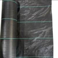 Nouveau produit : Tapis anti-mauvaises herbes tissé perforé perméable à l'eau
