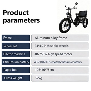 Hot <b>Sale</b> 750w 48v18a Three Wheel Adult E-trike Anti-skid Snowmobile Elderly Mobility E <b>Bike</b> 750w <b>for</b> Lady - Product Image 4