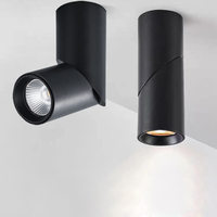 Spots LED rotatifs à intensité variable 9W 15W 24W COB, éclairage de plafond, lampe murale LED AC110-220V, éclairage intérieur blanc chaud et froid