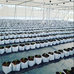 Macetas de Vivero Blancas y Negras, Bolsas de Cultivo de Plástico <span class=keywords><strong>PE</strong></span> para Plantas de Semillero con Orificios Transpirables, Bolsas de Enraizamiento, Bolsas de Cultivo de Polietileno - Product Image 6