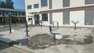 Máquina de Ejercicios Taiji, Amasadora y Empujadora, de Acero Inoxidable Resistente, <span class=keywords><strong>para</strong></span> Ejercicios de Brazos al Aire Libre, Equipo de Fitness <span class=keywords><strong>para</strong></span> Desarrollo Corporal - Product Image 4