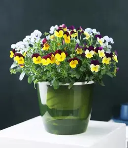 Xl/xxl vaso de flores preguiçoso, vaso de plantas verde absorvente de água automática, plantador de porcelana branca para decoração de jardim/