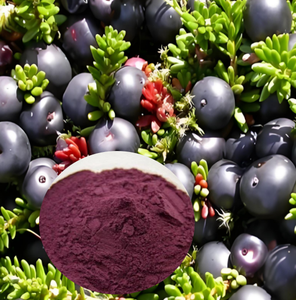 Atacado Natural Antocianidinas 25% Bulk Açaí <span class=keywords><strong>Berry</strong></span> Extrato Em Pó 100% Puro Juniper <span class=keywords><strong>Berry</strong></span> Extrato - Product Image 4