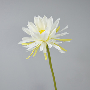 Fleur artificielle à tige unique Epiphyllum de Chen Zhongyu, blanc crème, en polyester, accessoire de photographie de mariage - Product Image 1