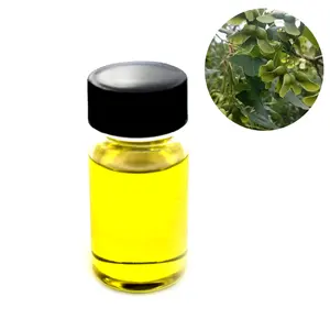 Chất lượng cao tự nhiên shantung Maple chiết xuất hạt dầu Acer truncatum dầu hạt 5% nervonic axit
