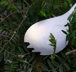 DF816 Cuchara, Tenedor y Abrebotellas Saludables y Ecológicos para Viajes/Campamentos en un Estuche de Tela Fácil de Guardar - Product Image 6