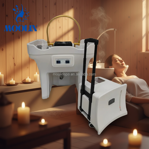 Bac à <span class=keywords><strong>shampoing</strong></span> portable de luxe japonais pour soins capillaires et SPA, avec réservoir d'eau, en ABS, pour salon de beauté et salle de bain - Product Image 1