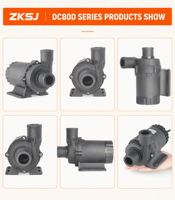Pompe de circulation d'eau OEM ZKSJ en promotion, 48V, 8000L/H, hauteur de refoulement 10M, entraînement magnétique, étanche, pour refroidissement de moteur marin