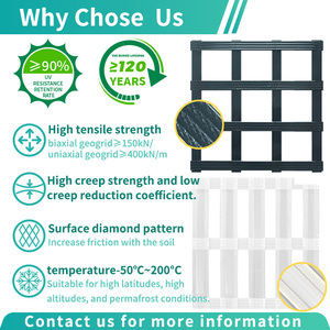 Độ bền kéo cao 150-40 <span class=keywords><strong>Polyester</strong></span> đơn trục (vật nuôi) <span class=keywords><strong>geogrid</strong></span> Đất Gia cố cho tường chắn và đường lái xe - Product Image 4
