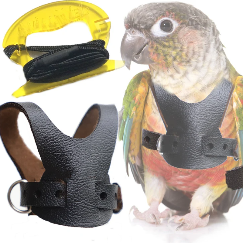 birds harness