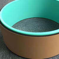Roue de Yoga Portable de Haute Qualité en ABS pour Pilates, Antidérapante, Personnalisable avec Logo OEM, pour Exercices du Dos, en Liège et PP Imprimé