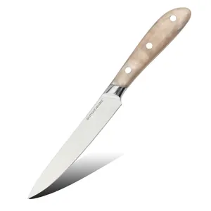 Dapur pisau utilitas buah baja tahan karat pegangan akrilik pisau pengupas logam grosir pisau dapur 5 inci