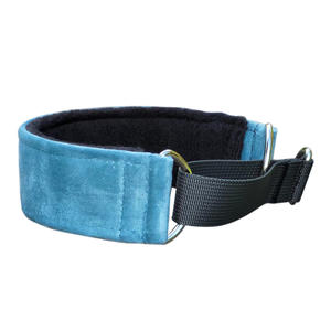 <span class=keywords><strong>Collar</strong></span> de perro Whippet con diseño de martingala ensanchado resistente personalizado <span class=keywords><strong>Collar</strong></span> de perro de 3 pulgadas de ancho de tela de terciopelo - Product Image 2