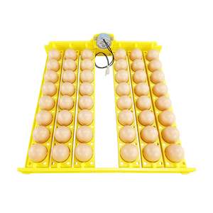 Piccolo pollo da cova completamente automatico <span class=keywords><strong>Mini</strong></span> incubatore 48 uova - Product Image 4