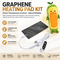 Plaque chauffante flexible en graphène basse tension 5V avec module de contrôle de température, lavable, pour produits chauffants
