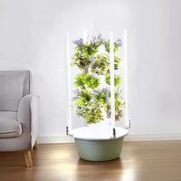 Système hydroponique Seedafarm Space-Tree, tour verticale, cultivateur intelligent de légumes, équipement de culture sans sol, type colonne