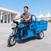 60V Electric Cargo Tricycle 501-800W Three Wheel Utility Transport Motorcycle Open Body 300-400kg Payload