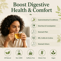 Tisane Digestive Personnalisée aux Herbes – Mélange Apaisant pour un Bien-être Accru – Camomille, Menthe Poivrée, Fenouil – Sachets et Boîtes Personnalisables Disponibles
