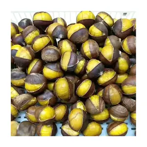 Chinese Hot Sales New Crop dried chestnut glaced chestnut frozen chestnuts