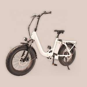 RaiderExpand-45F 50 km/h vitesse vélo pliant vélo électrique 20 pouces gros pneu <span class=keywords><strong>750w</strong></span> 1000W Ebike électrique gros pneu Bik - Product Image 2