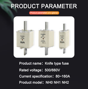 Serie NH, alta capacidad de ruptura, bajo voltaje, Cartucho HRC, borde de cuchillo, fusible térmico de cerámica, recorte - Product Image 3