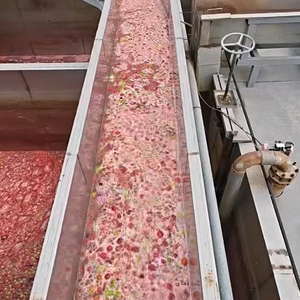 Sardinas Enlatadas Clásicas Botan con Filetes de Sardina Tiernos y Suculentos y Salsa de Tomate Sabrosa - Product Image 2