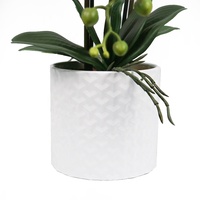 Vente en gros de fleurs d'orchidées au toucher réel de 52cm de haut avec pot en ciment