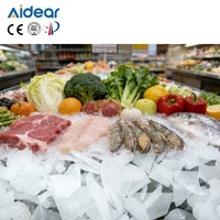 Aidear Machine de fabrication de flocons de glace 30 tonnes par jour Machine à glace industrielle à l'échelle industrielle