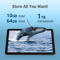 Tablette PC Android 14 Octa Core Wi-Fi 10 pouces G80 4 Go 64 Go INCELL pour usage professionnel et divertissement, modèle R10XS 2025