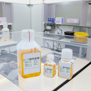50ml 100ml 500ml 1000ml Premium thai nhi bò huyết thanh cho <span class=keywords><strong>ivf</strong></span> và điều trị tế bào phát triển nghiêm ngặt QC thử nghiệm - Product Image 2